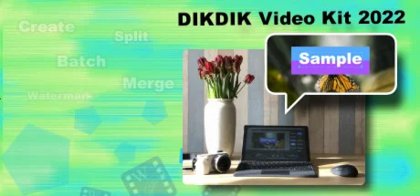DIKDIK Video Kit 2022 STEAM KEY REGION FREE GLOBAL ROW