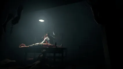 Outlast: Whistleblower АВТОДОСТАВКА STEAM DLC РОССИЯ