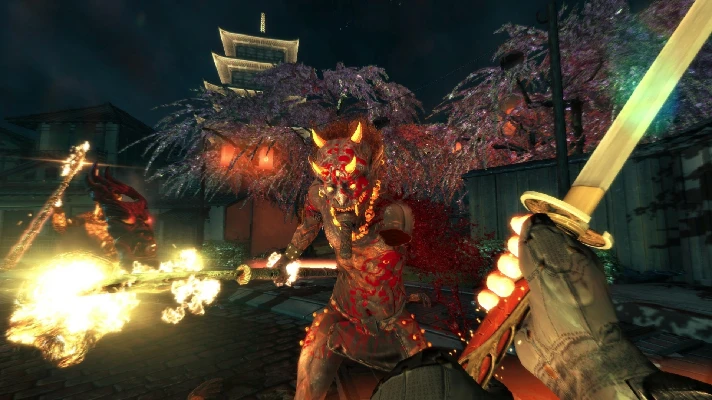 Shadow Warrior 💎 STEAM GIFT RU