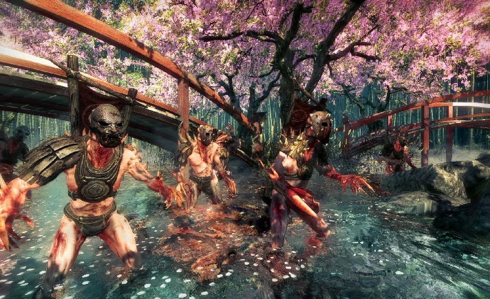 Shadow Warrior 💎 STEAM GIFT RU