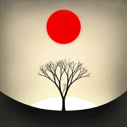 ️ Prune iPhone ios iPad Appstore + ПОДАРОК 