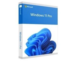 WINDOWS 11 PRO LICENCE KEY+ GiftGLOBAL