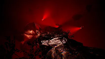 The Fabled Woods 💎 АВТОДОСТАВКА STEAM GIFT РОССИЯ