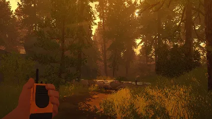 Firewatch АВТОДОСТАВКА STEAM РОССИЯ