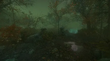 The Cursed Forest АВТОДОСТАВКА STEAM GIFT РОССИЯ