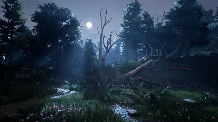The Forest (БЕЗ АКТИВАТОРА / STEAM ОФФЛАЙН)