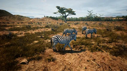 Animalia Survival 💎 АВТОДОСТАВКА STEAM GIFT РОССИЯ