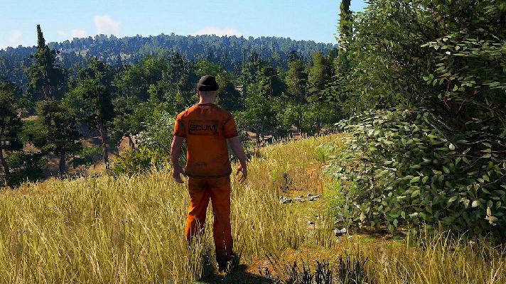 SCUM ONLINE ( GLOBAL / STEAM ACCOUNT )