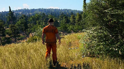 SCUM (ОБЩИЙ АККАУНТ / STEAM )