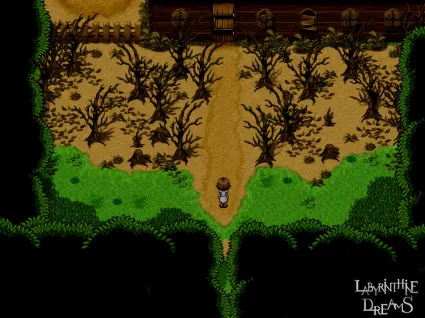 Labyrinthine Dreams 💎 АВТОДОСТАВКА STEAM GIFT FOR RUS
