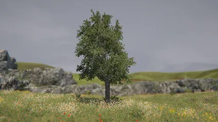 Tree Simulator 2022 💎 АВТОДОСТАВКА STEAM GIFT РОССИЯ
