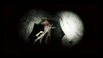 Hunter A Hunter 💎 АВТОДОСТАВКА STEAM GIFT RU