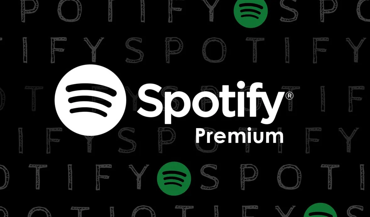 Spotify PREMIUM АКК 30 дней ГАРАНТИЯ!