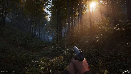 Deadside АВТОДОСТАВКА STEAM РОССИЯ