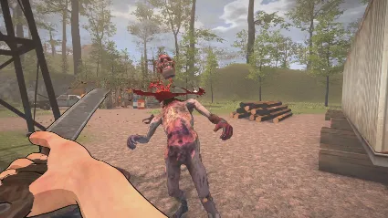 Deadly Flare 💎 АВТОДОСТАВКА STEAM GIFT РОССИЯ