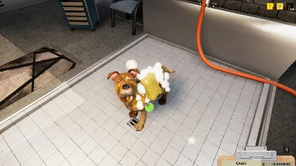 Animal Shelter АВТОДОСТАВКА STEAM РОССИЯ
