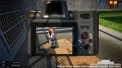 Animal Shelter АВТОДОСТАВКА STEAM РОССИЯ