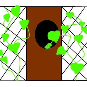 Таинственный огурец