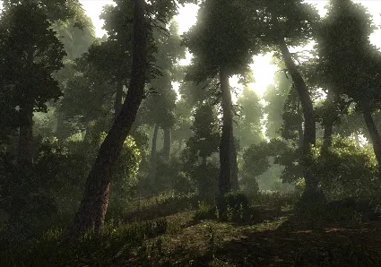 Risen АВТОДОСТАВКА STEAM GIFT РОССИЯ