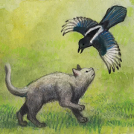 Milo and the Magpies iPhone ios iPad Appstore +БОНУС  