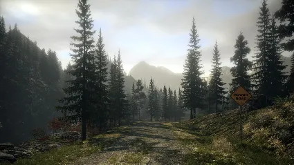 Alan Wake АВТОДОСТАВКА STEAM РОССИЯ