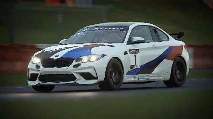 Assetto Corsa Competizione Challengers Pack DLC АВТОДОСТАВКА STEAM РОССИЯ