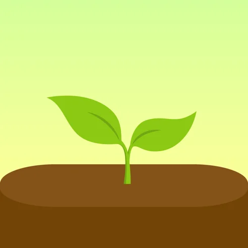 Forest   Сосредоточьтесь iPhone ios Appstore +БОНУС 