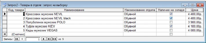 Database Department Store Access