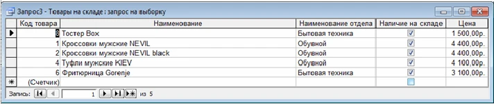 Database Department Store Access