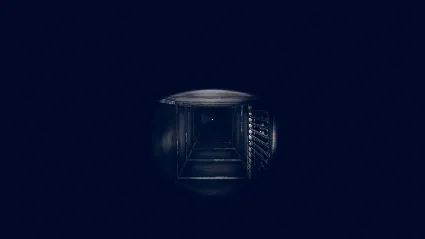 Arachnophobia АВТОДОСТАВКА STEAM GIFT РОССИЯ