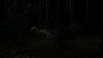 Blood Trail АВТОДОСТАВКА STEAM РОССИЯ