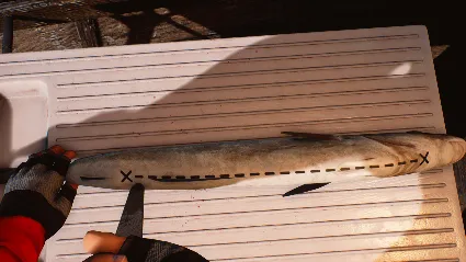 Fishing: Barents Sea 💎 АВТОДОСТАВКА STEAM GIFT РОССИЯ