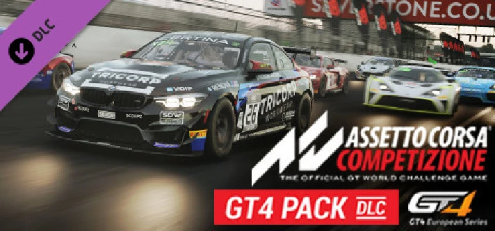 Assetto Corsa Competizione - GT4 Pack 💎 DLC STEAM GIFT