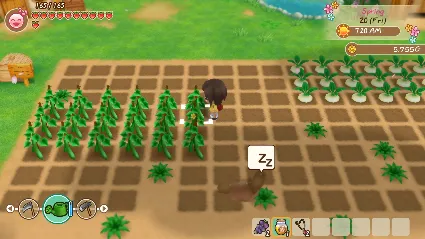 STORY OF SEASONS: Friends of Mineral Town 💎 STEAM GIFT