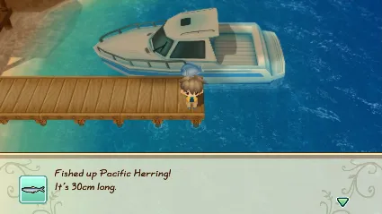 STORY OF SEASONS: Friends of Mineral Town 💎 STEAM GIFT