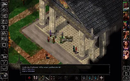 Baldur's Gate: Faces of Good and Evil DLC STEAM РОССИЯ