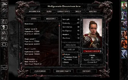 Baldur's Gate: Faces of Good and Evil DLC STEAM РОССИЯ