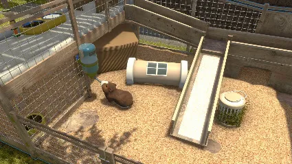House Flipper - Pets DLC АВТОДОСТАВКА STEAM РОССИЯ