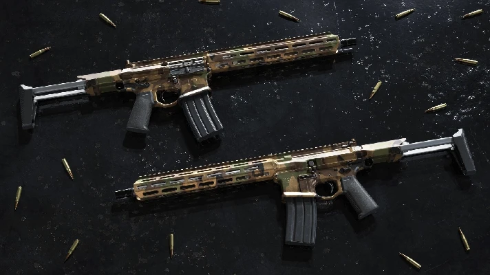 Insurgency: Sandstorm - Woodland Weapon Skin Set 💎 DLC