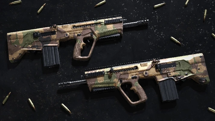 Insurgency: Sandstorm - Woodland Weapon Skin Set 💎 DLC