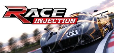 RACE Injection  АВТОДОСТАВКА STEAM GIFT РОССИЯ