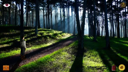 Lost in Paradise АВТОДОСТАВКА STEAM РОССИЯ