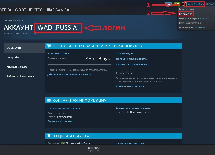 STEAM WALLET top up Steam balance