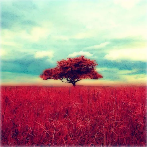 ️ Gloomlogue iPhone ios iPad Appstore + ПОДАРОК 