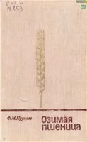 Озимая пшеница