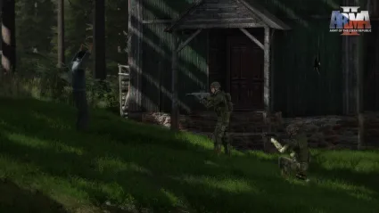 Arma 2: Army of the Czech Republic DLC STEAM РОССИЯ