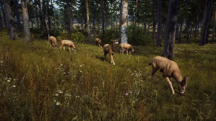 Way of the Hunter Elite Edition STEAM GIFT РОССИЯ