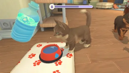 My Universe - Puppies  Kittens 💎 STEAM GIFT RU