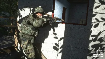 GROUND BRANCH 💎 АВТОДОСТАВКА STEAM РОССИЯ