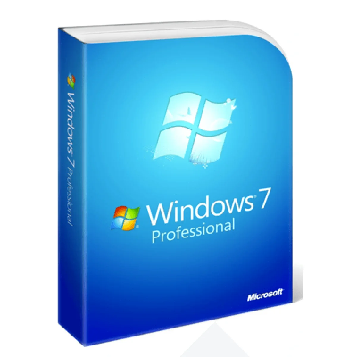 Windows 7 Professional